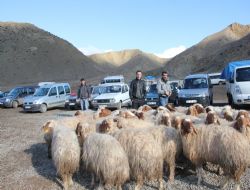 Besiciye Erzurum kış, Oltu bahar