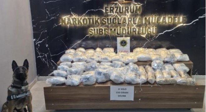 37 kilo 150 gram skunk ele geçirildi