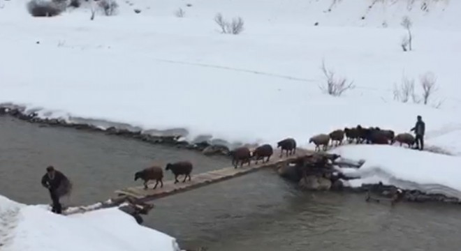 Bingöllü besicilerin Peri Çayı yolculuğu