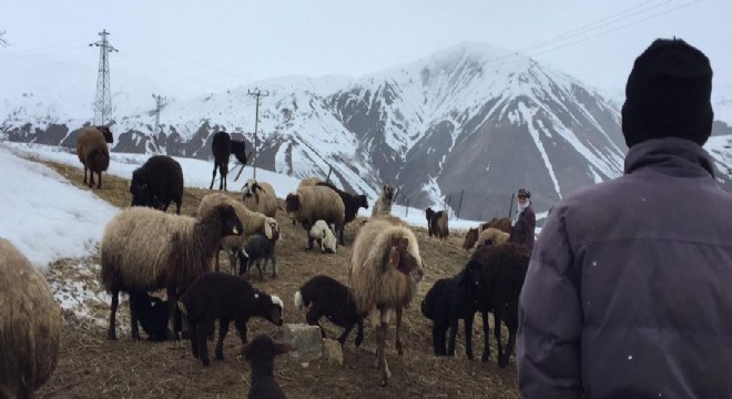 Bu kış onlar için zor geçti