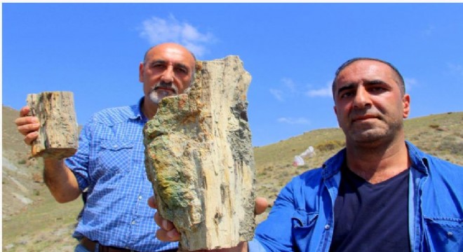 Erzurum’da 160 milyon yıllık fosil bulundu
