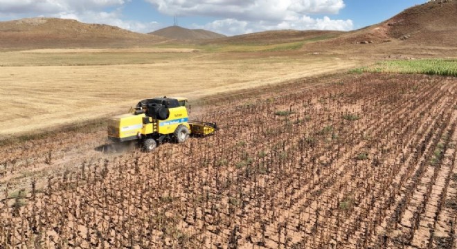 Tarımsal girdi fiyat endeksi açıklandı