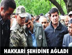 Hakkari şehidine ağladı 