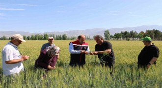 Tarla ürünlerinde bitkisel üretim azaldı